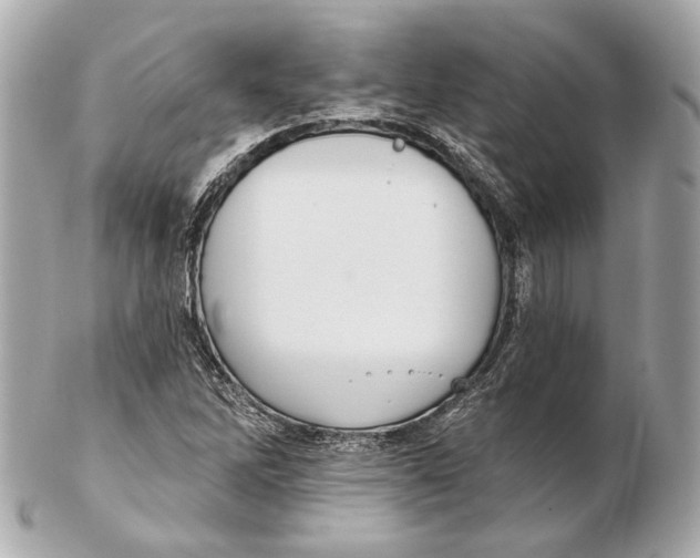 X0000102411262200808291500