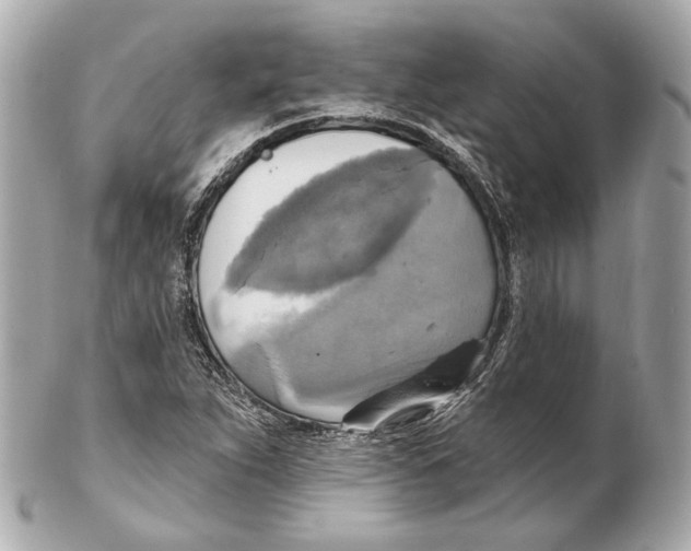 X0000102411263200808291500