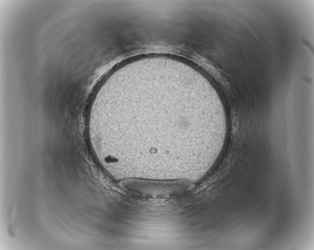 X0000102411264200808291500