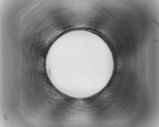 X0000102411265200808291500