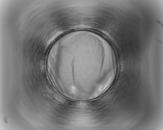 X0000102411266200808291500