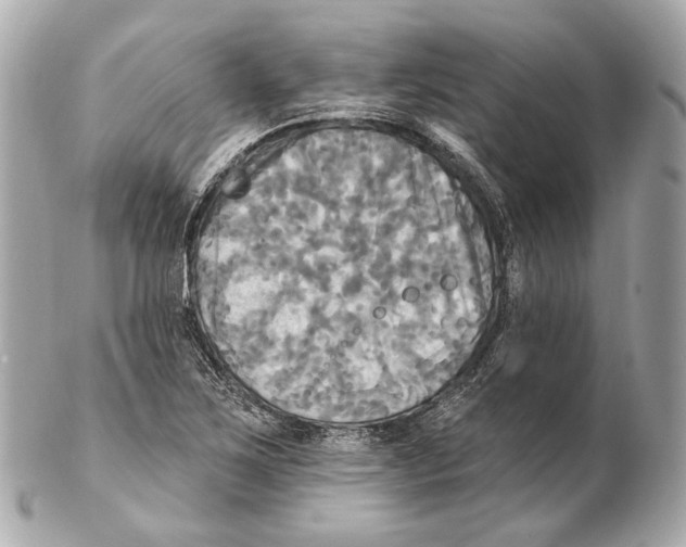 X0000102411267200808291500