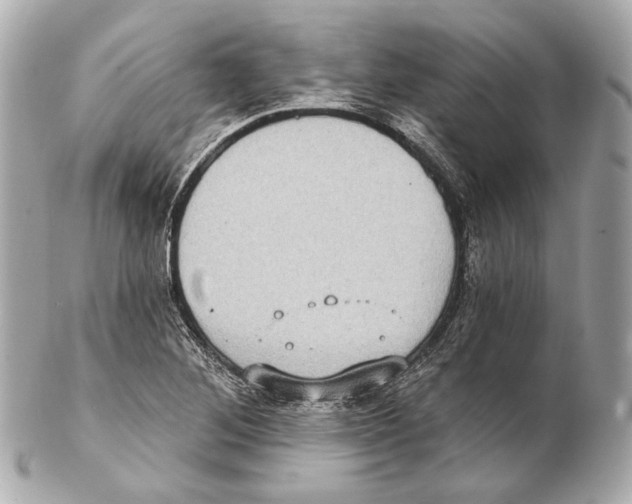 X0000102411268200808291500