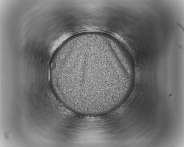 X0000102411269200808291459