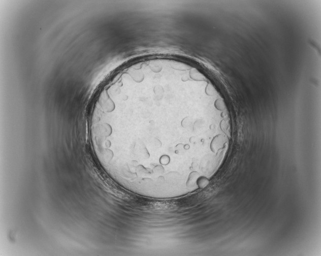 X0000102411271200808291459