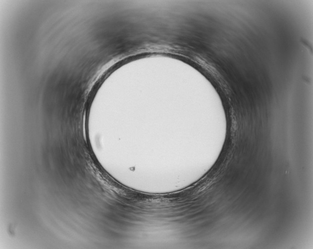 X0000102411272200808291459