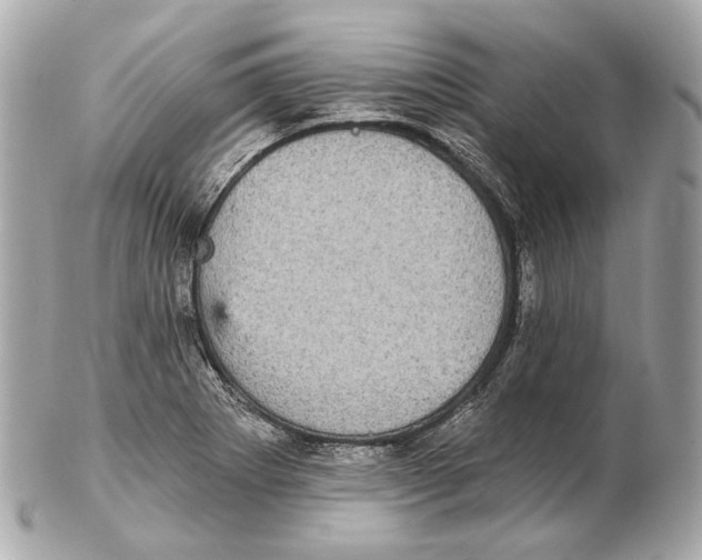 X0000102411273200808291459