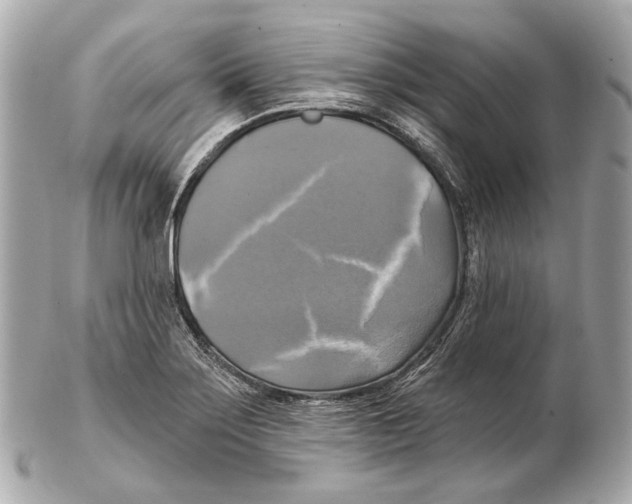 X0000102411275200808291459