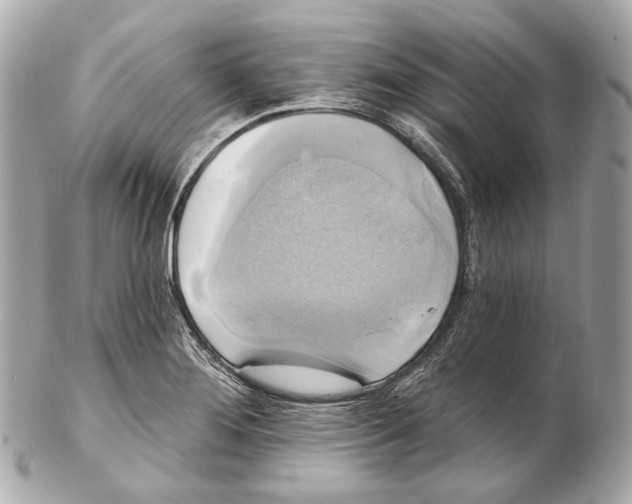 X0000102411276200808291459