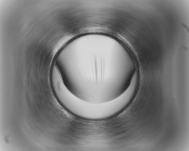 X0000102411277200808291459