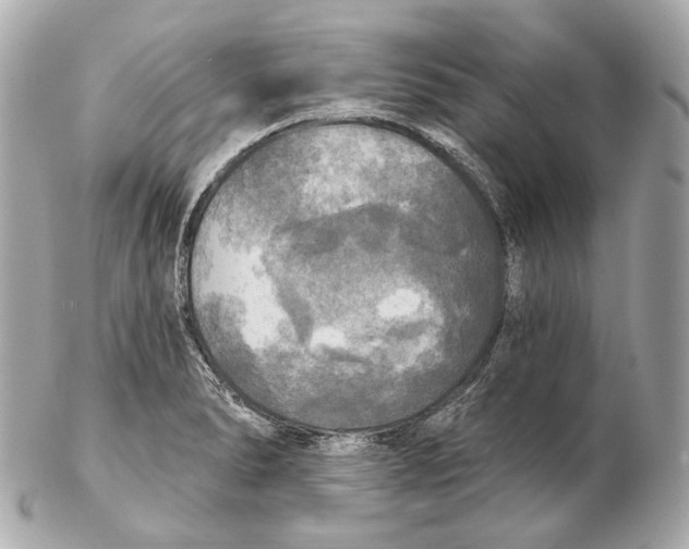 X0000102411278200808291459