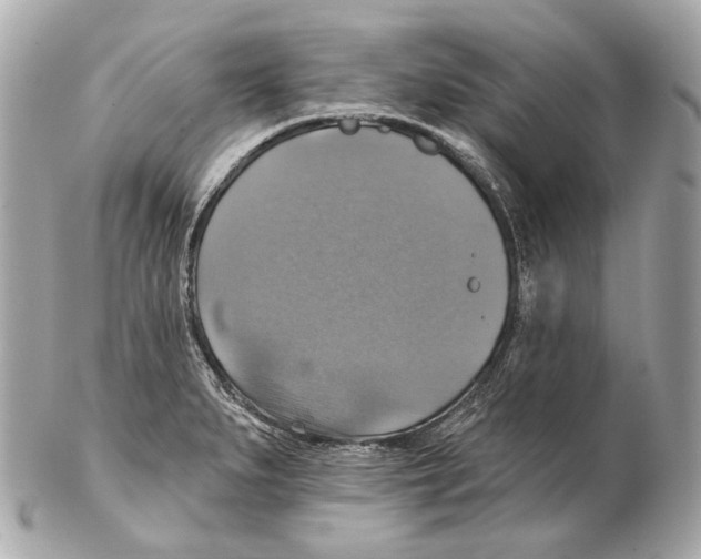 X0000102411279200808291459