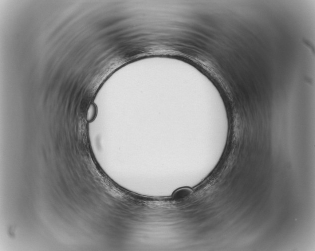 X0000102411281200808291459