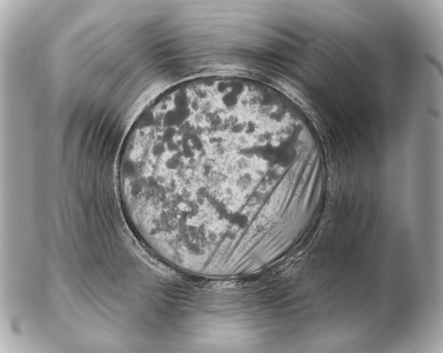 X0000102411283200808291459