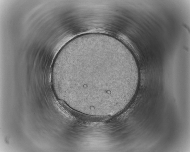 X0000102411284200808291459