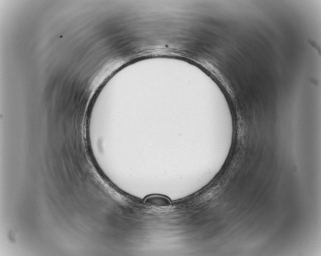 X0000102411285200808291459