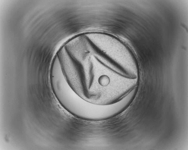 X0000102411288200808291459