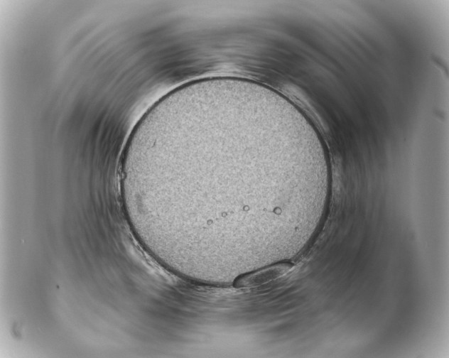 X0000102411292200808291459