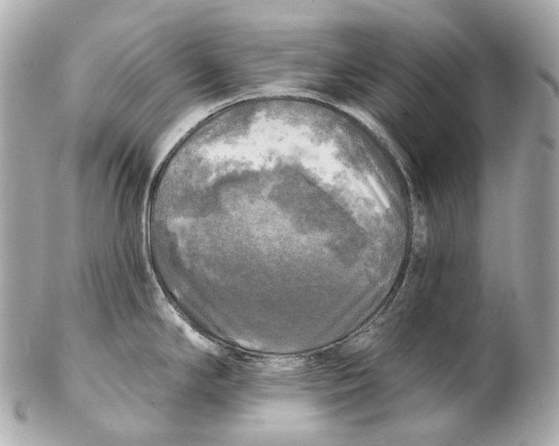 X0000102411294200808291459