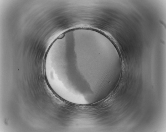 X0000102411295200808291459