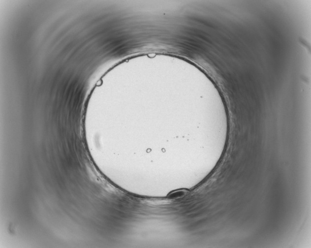 X0000102411296200808291459