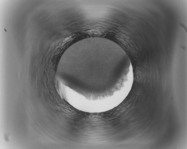 X0000102411297200808291458