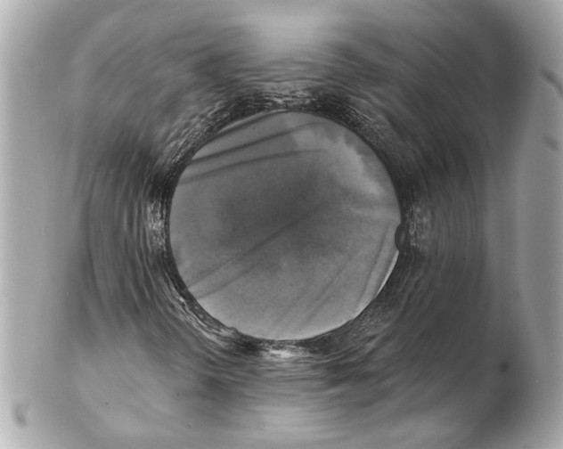 X0000102411298200808291458