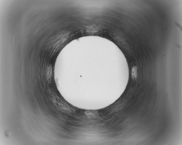 X0000102411299200808291458