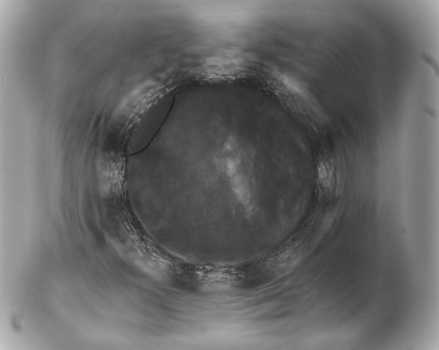 X0000102411300200808291458