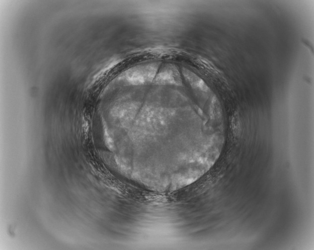 X0000102411302200808291458