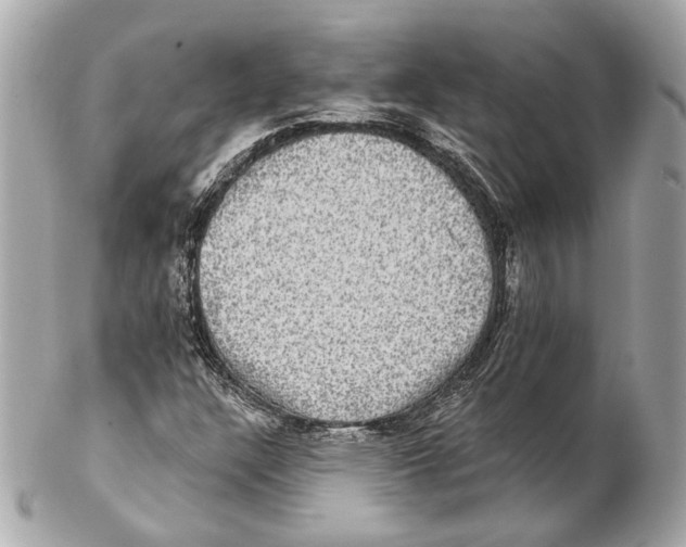 X0000102411304200808291458