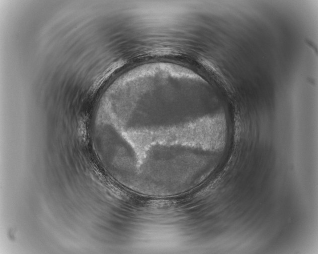 X0000102411305200808291458