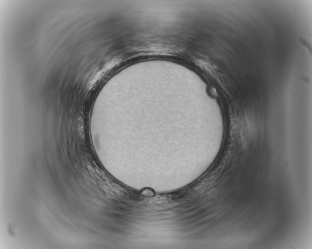 X0000102411307200808291458