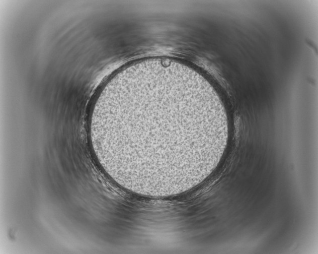 X0000102411308200808291458