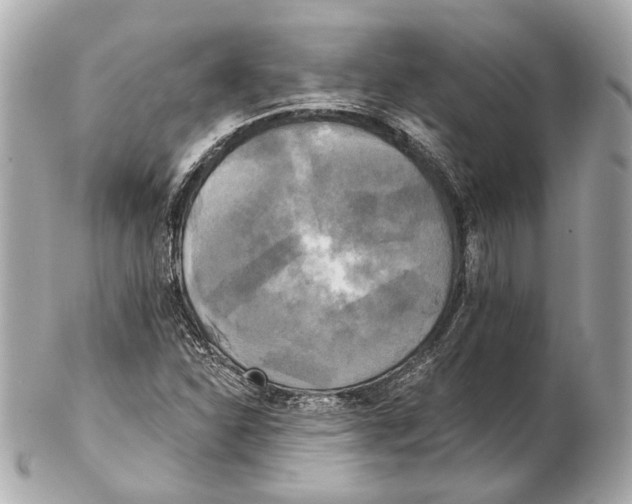 X0000102411310200808291458