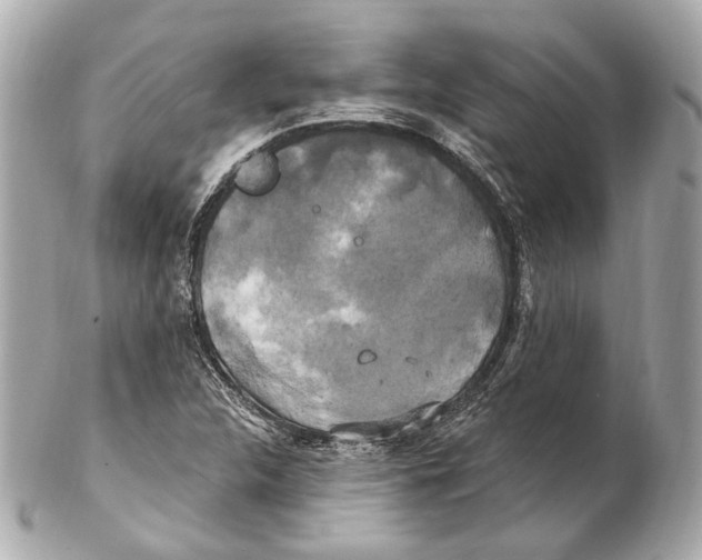 X0000102411312200808291458