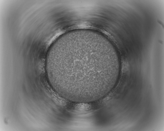 X0000102411314200808291459