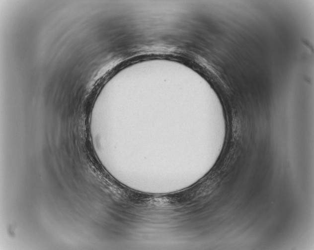 X0000102411315200808291459