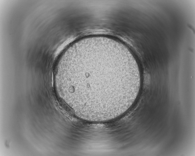 X0000102411317200808291459