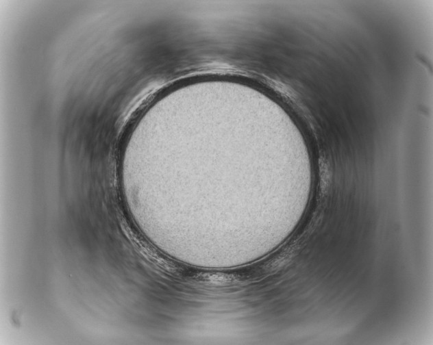 X0000102411318200808291459