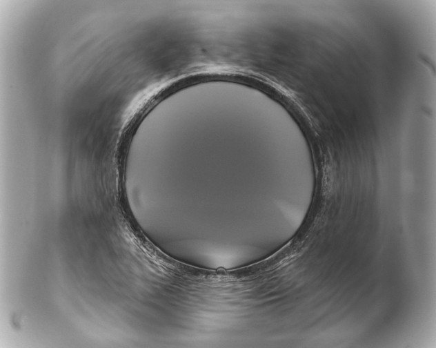 X0000102411319200808291459