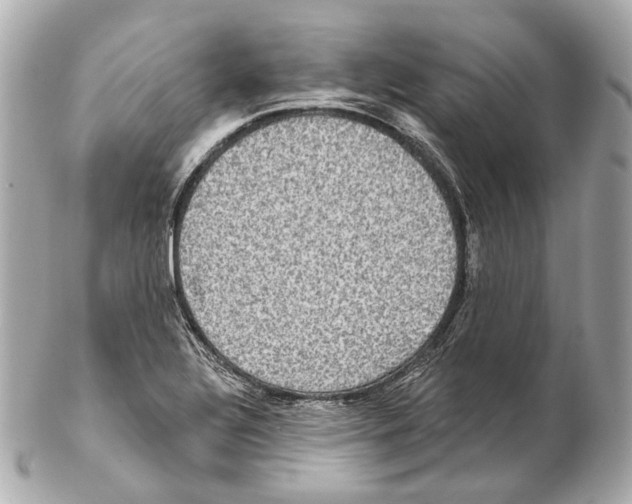 X0000102411320200808291459