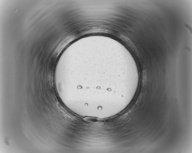 X0000102411321200808291459