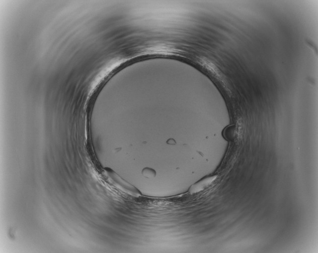 X0000102411323200808291459