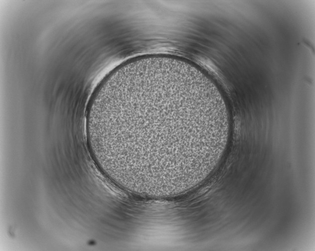 X0000102411324200808291459