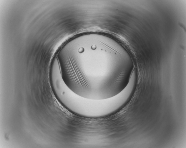 X0000102411326200808291459