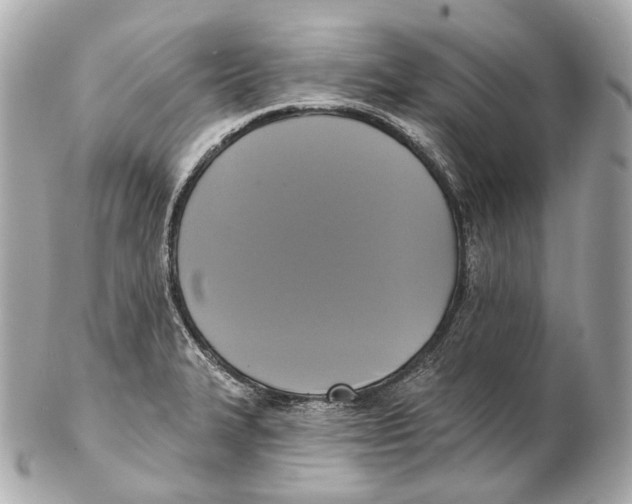 X0000102411327200808291459