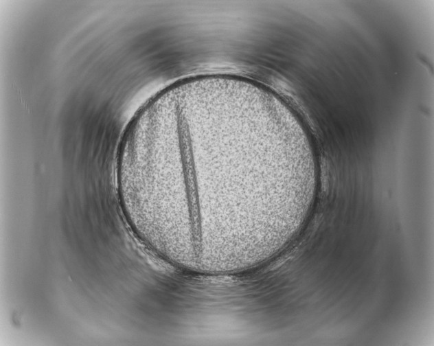 X0000102411328200808291459