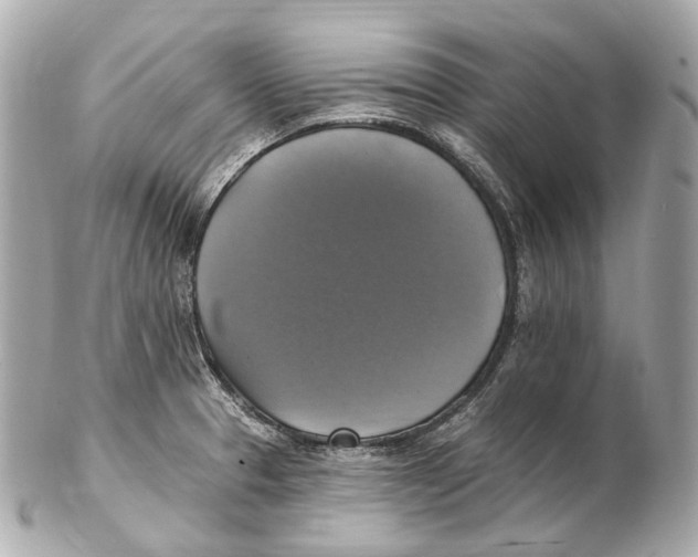 X0000102411329200808291459