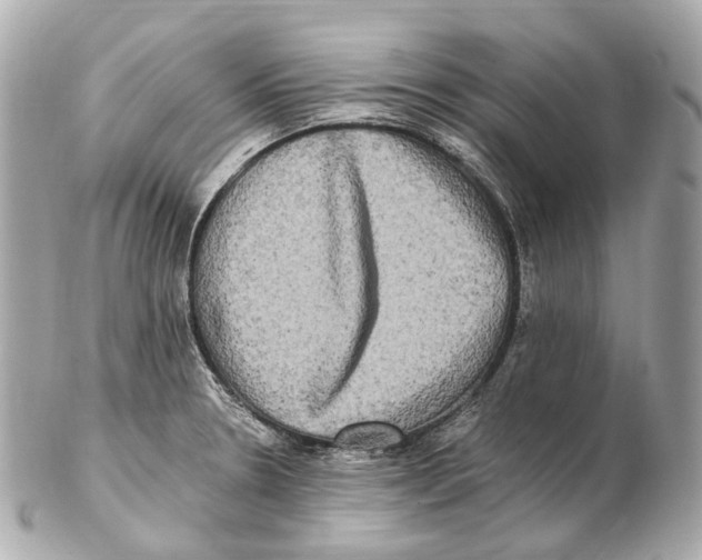 X0000102411330200808291459